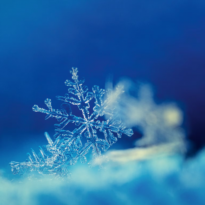 autohaus-pflanz-wintercheck-schneeflocken-kachel