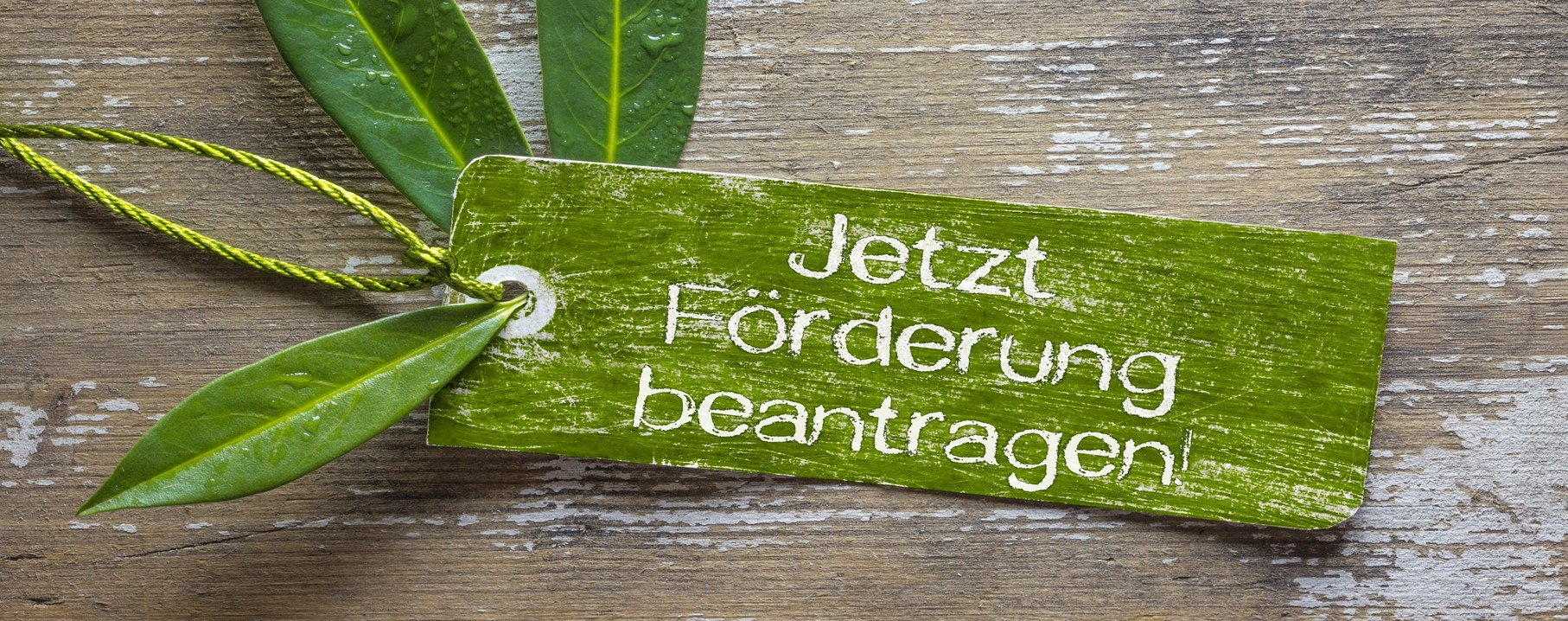 Slider_Jetzt Förderung Beantragen_WEB