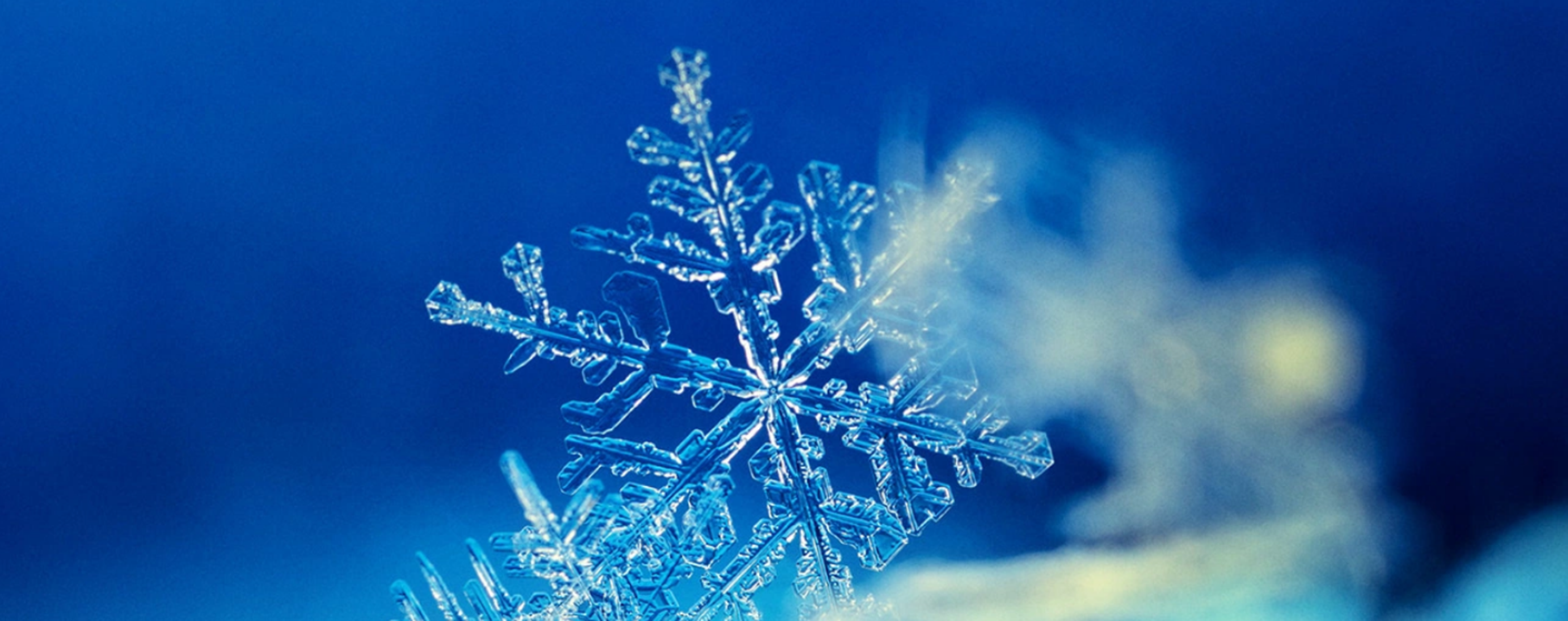 autohaus-pflanz-service-wintercheck-slider