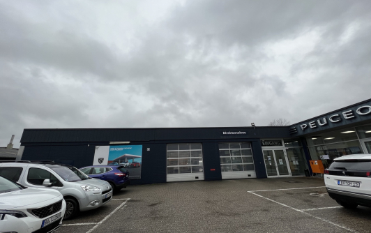 autohaus-pflanz-umbau-woche2-13