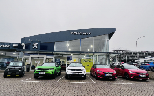 Pflanz-Angrillen-2022-Front