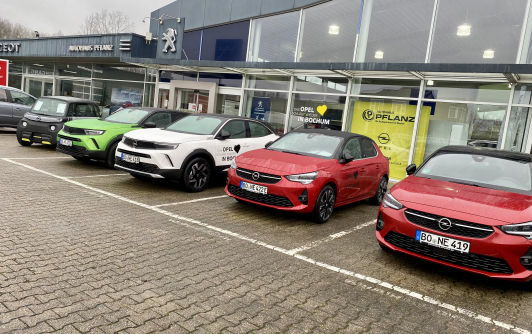 Pflanz-Angrillen-2022-Front-2